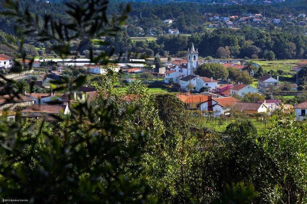 Angelas - Casa Da Eira Vila Praia de Âncora المظهر الخارجي الصورة